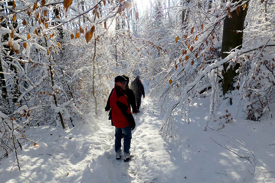 winterwanderung_2014-12-28_03